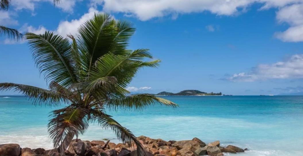 Happy Stay Villa Grand Anse  Exterior photo