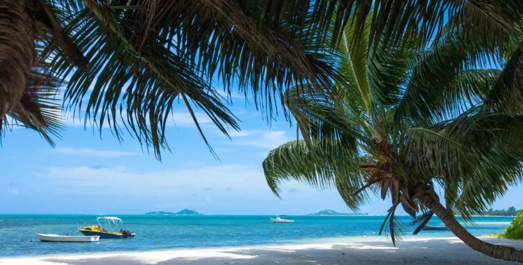 Happy Stay Villa Grand Anse  Exterior photo