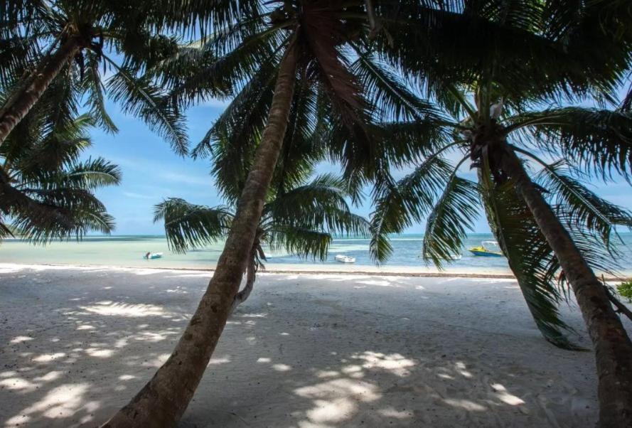 Happy Stay Villa Grand Anse  Exterior photo